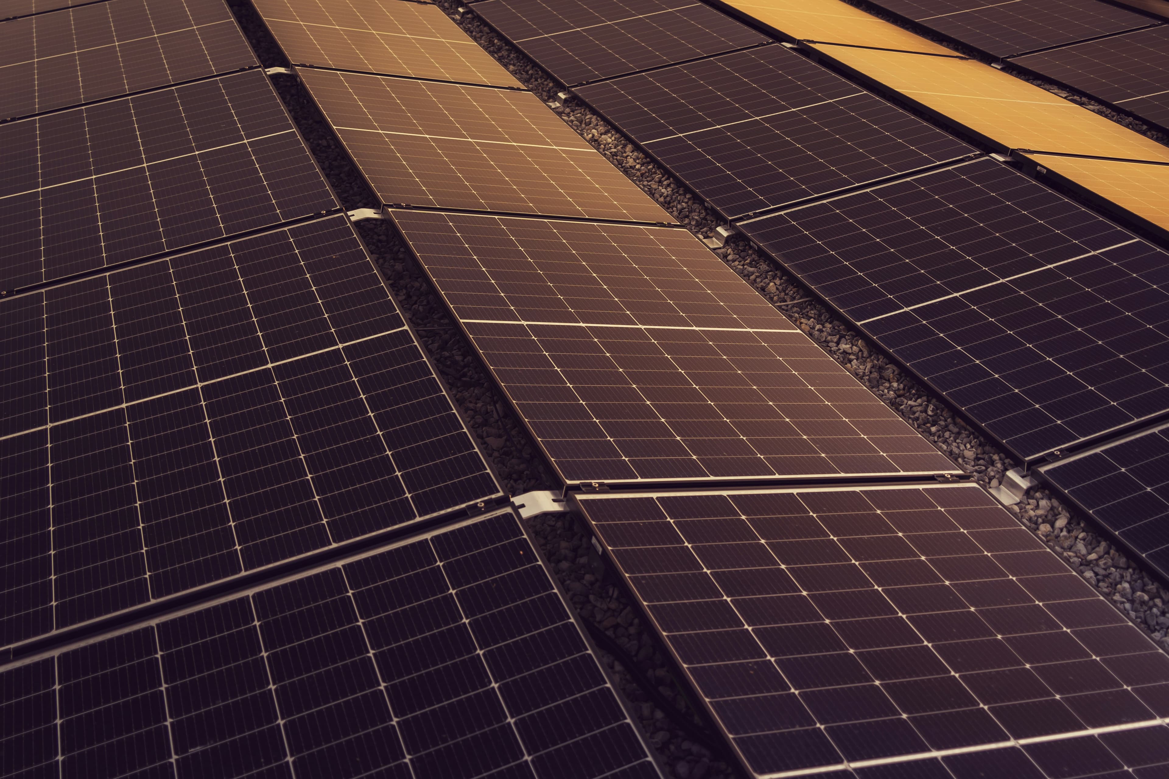 Panneaux photovoltaïques installés sur la toiture d'un bâtiment industriel